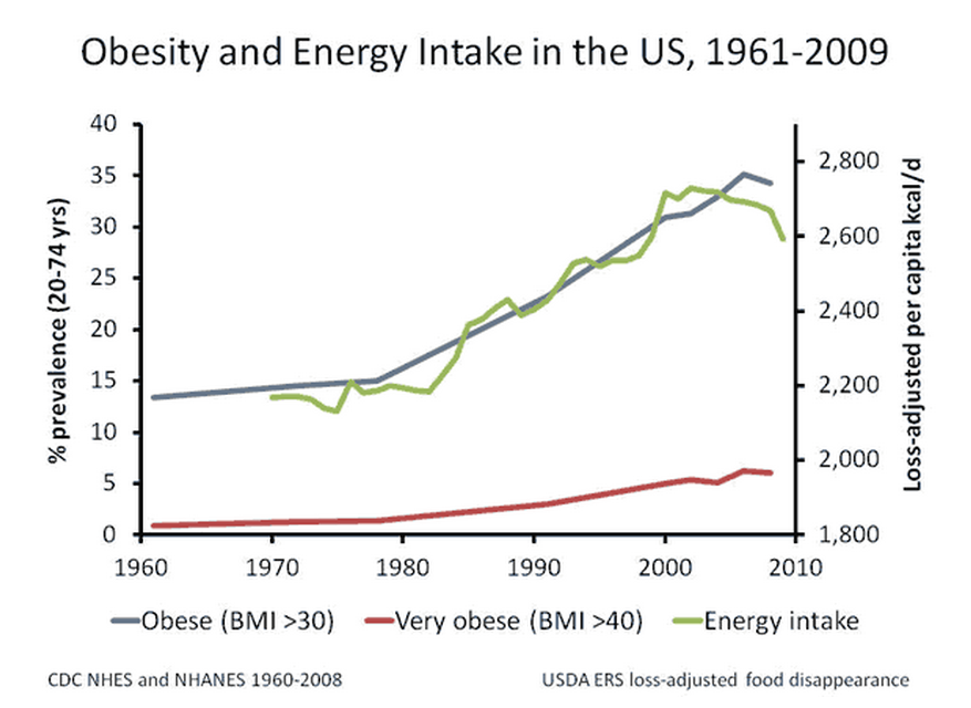 40 Maps That Explain Food In America Vox - Fast Food And Obesity Charts By Country