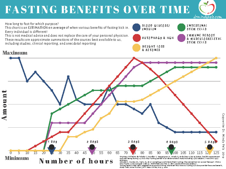 Dr Mindy Pelz s Fasting Benefits Chart Fasting And Furious - Dr Mindy Fasting Chart
