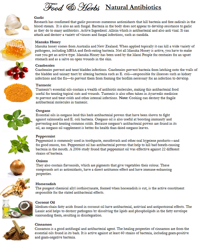 Eating My Way To Better Health Food Herbs That Are Natural  - Fast Food Antibiotics Chart