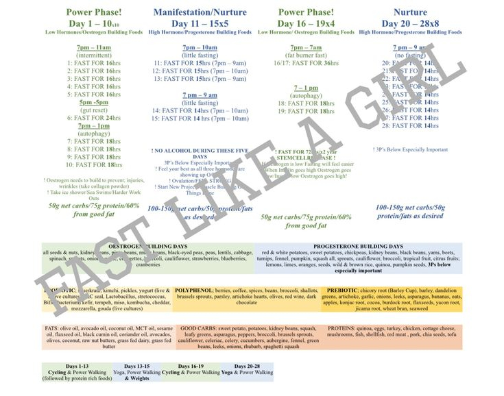 Fast Like A Girl By Chart Fasting Chart For Women 28day Cycle Fasting  - Dr. Mindy Pelz Fasting Chart