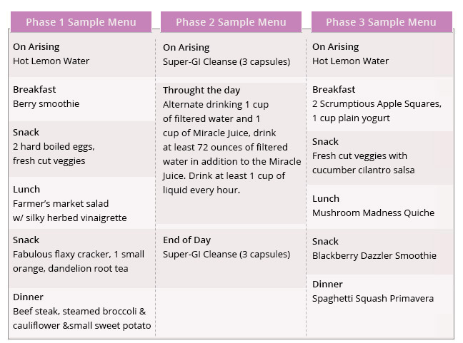 Fast Track One Day Detox Diet Dkgala - Fast Tract Diet Charts