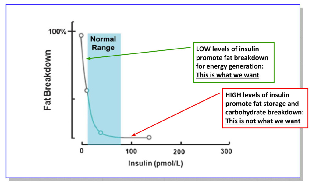 Fasting Insulin Ketogenic Forums - Fasting Insulin Levels Chart Mu L