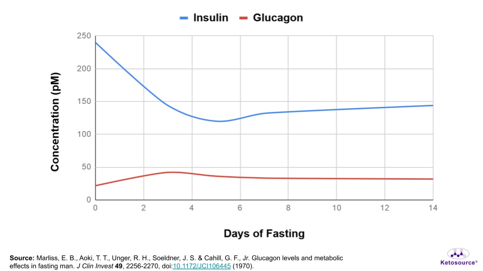 Fasting Methods How To Optimize For Your Goals Part 1 Ketosource - Fasting Insulin Glucagon Glycogen Chart