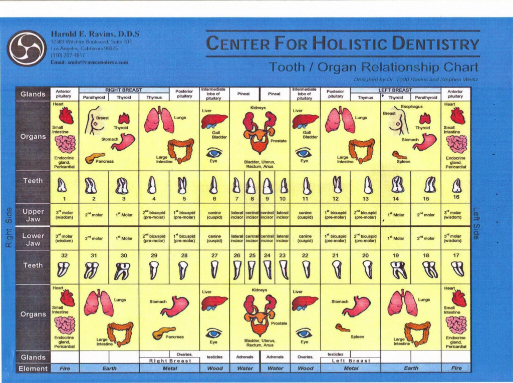 Holistic Dentistry Tooth Chart Health Chart - Chart Of Teeth Isues From Fast Food