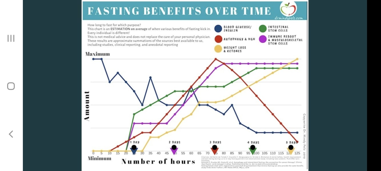 Interesting Chart By Mindy Pelz Showing Benefits Of Longer Fasts Mumsnet - Dr Mindy Pelz Fasting Benefits Over Time Chart