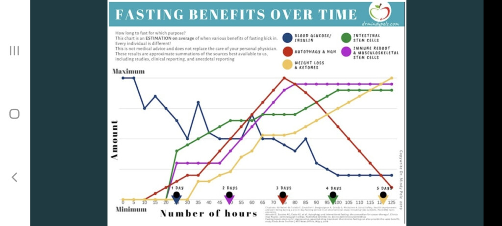 Interesting Chart By Mindy Pelz Showing Benefits Of Longer Fasts Mumsnet - Fasting Benefits Chart Over Time