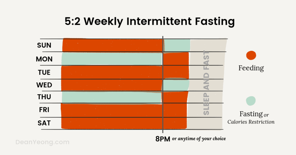 Intermittent Fasting According To Age Chart Printable Templates Free - Intermittent Fasting 48hrs Chart