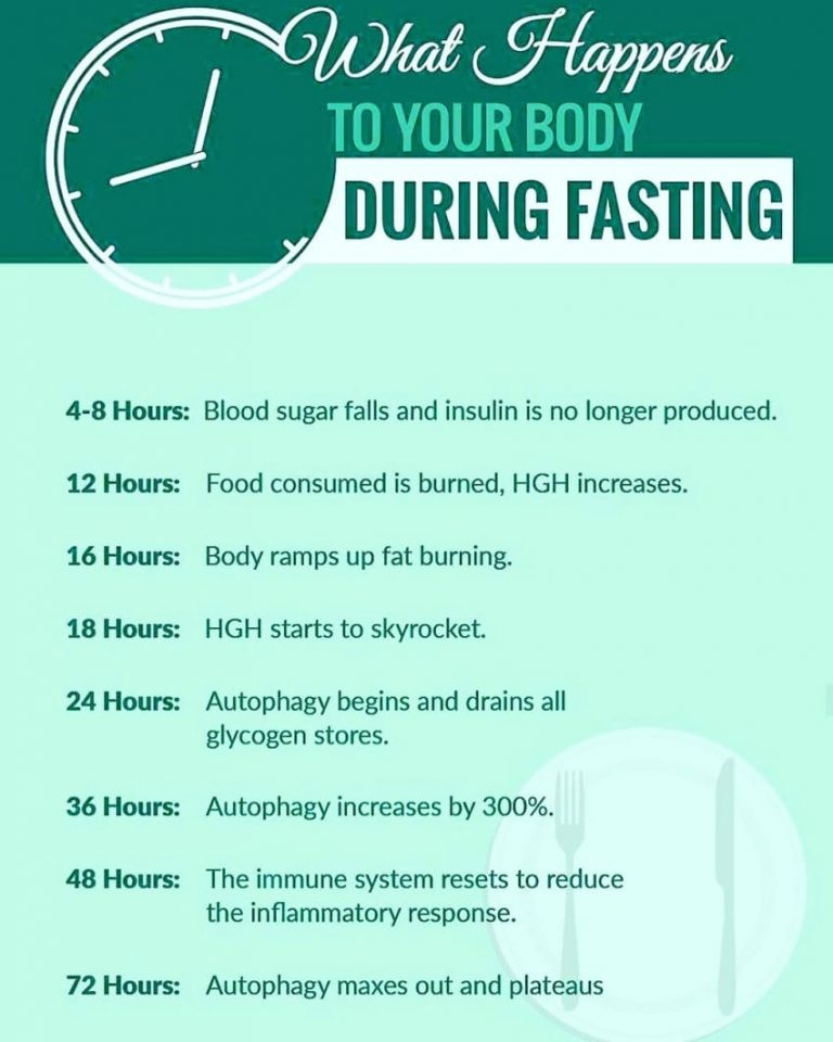 Intermittent Fasting The Complete Guide You Need - Stages Of Intermittent Fasting Chart