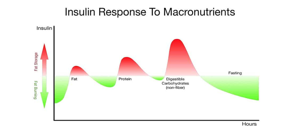 Intermittent Fasting The Definitive Guide 2024 Bodyketosis - Intermittent Fasting Burn Chart