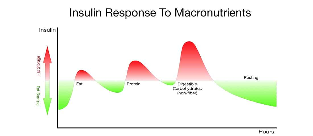 Intermittent Fasting The Definitive Guide 2024 Bodyketosis - Intermittent Fasting Insulin Chart