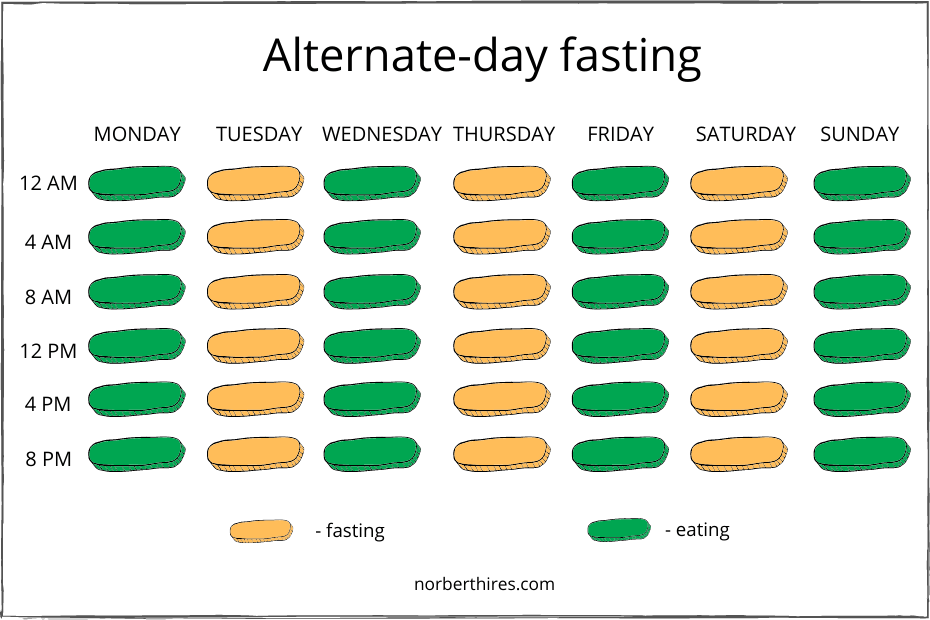 Intermittent Fasting The Ultimate Guide For Beginners - Alternate Day Fasting Chart