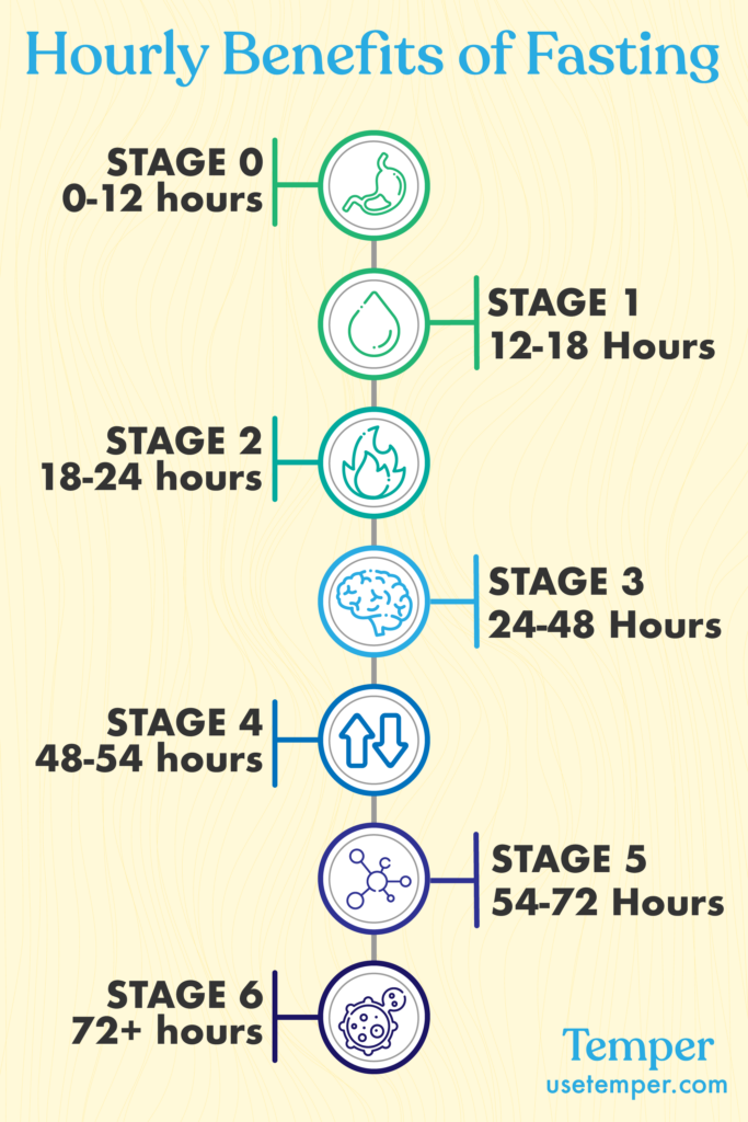 Metabolic Step By Step Stages Of Fasting In The First 72hrs Artofit - Stages Of Intermittent Fasting Chart