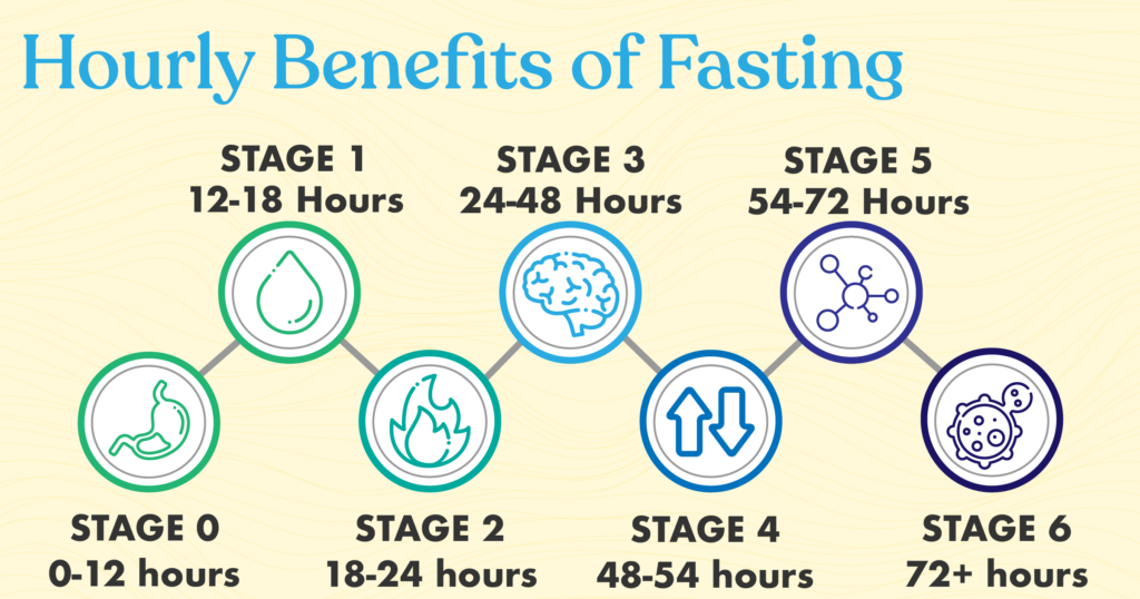 Metabolic Step By Step Stages Of Fasting In The First 72hrs Temper - Fasting Chart By Hour