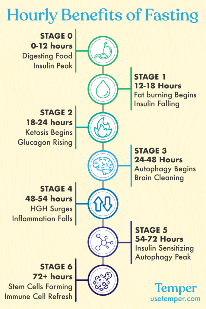 Metabolic Step By Step Stages Of Fasting In The First 72hrs Temper  - Fasting Benefits By Hour Chart