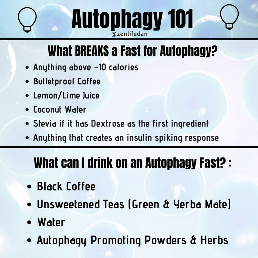 Pin On Autophagy - Autophagy Fasting Benefits Over Time Chart