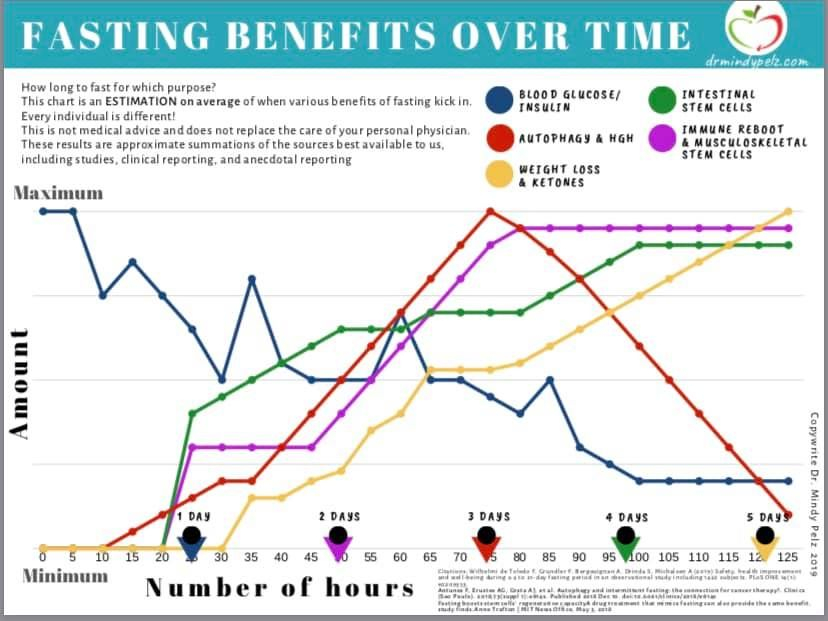Pin On Keep It Keto - Fasting Benefits Chart Dr Pelz