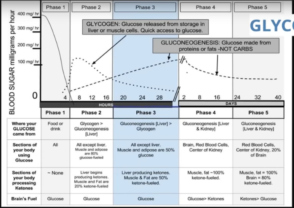 Prolonged Fast OMAD Pronlonged Fast OMAD Etc Leads To Slower  - Dr Fung Stages Of Fasting Chart