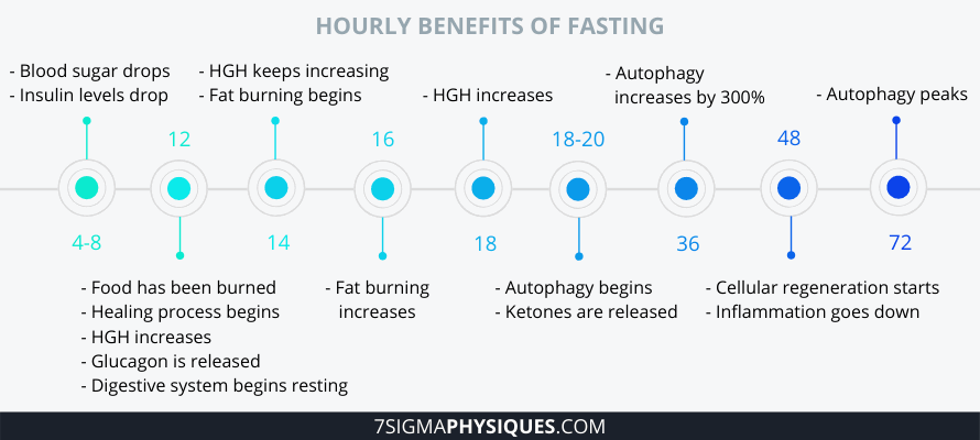 Stages Of Fasting What Happens When You Fast 7Sigma Physiques - Fasting Benefits By Hour Chart