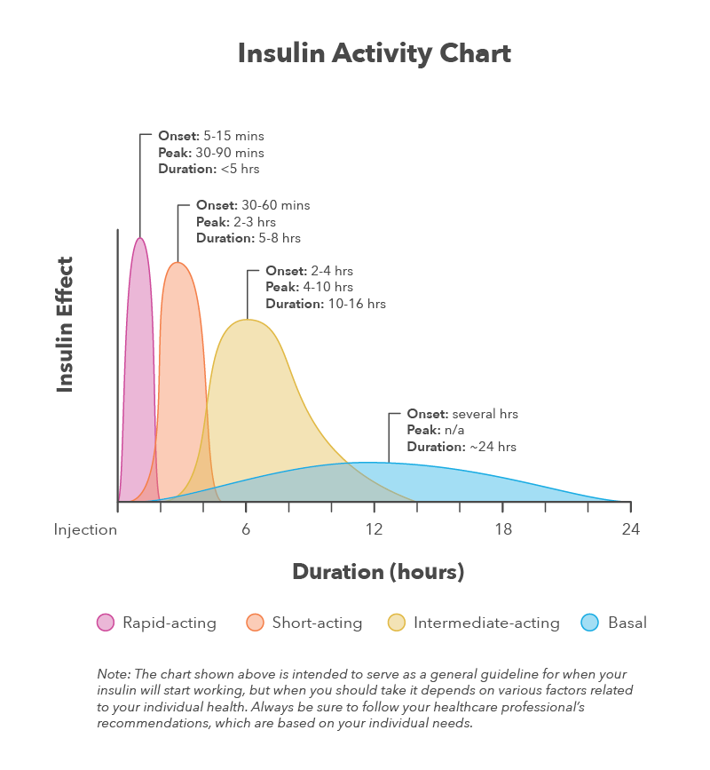 The Complete Guide To Insulin Types w Downloadable Charts  - Insulin Fast Acting Chart