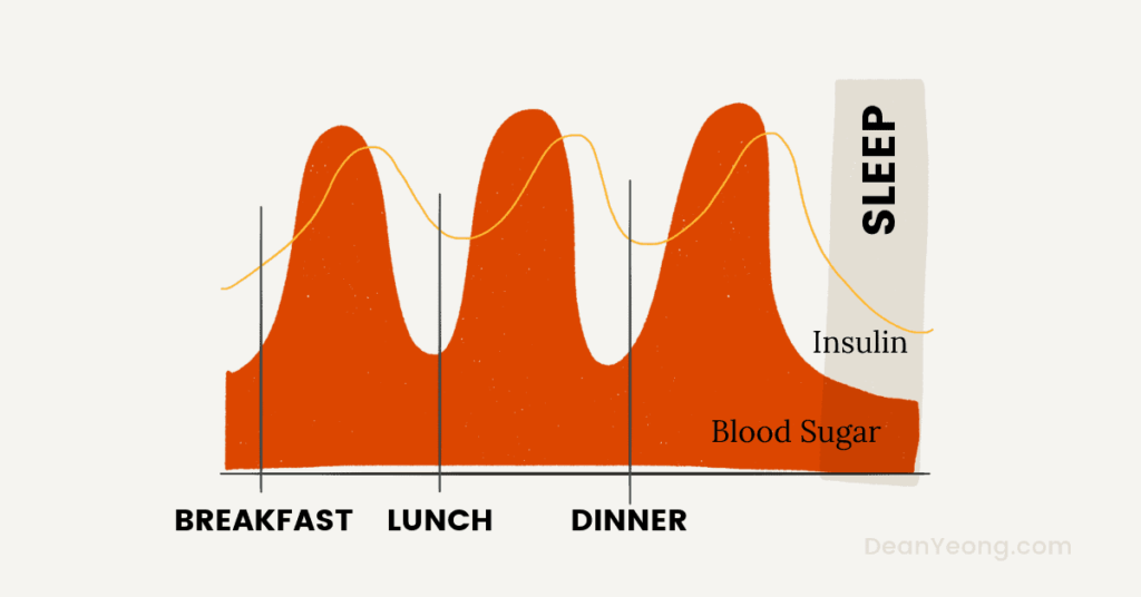 The Complete Guide To Intermittent Fasting For Beginners Dean Yeong - Intermittent Fasting Insulin Chart
