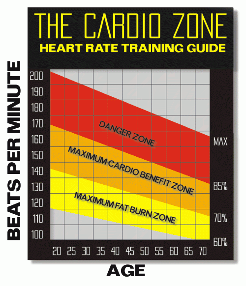 The fat burning Zone Optimum Fitness - Fasting Fat Burn Chart