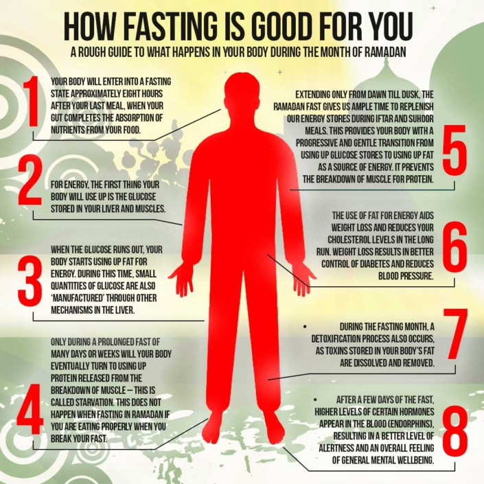 The Stages Of Fasting In depth Wellness Plant Based - Kevin Hall Fasting Study Chart