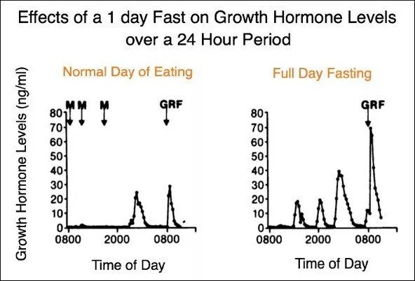 TOP 11 Hgh BOOSTING STRATEGIES DMP Fitness - Boost Growth Hormone By Fasting Chart