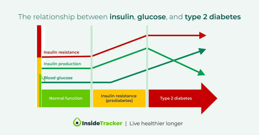 Understanding Fasting Insulin Blood Test Results - Fasting Insulin Level Chart Australia