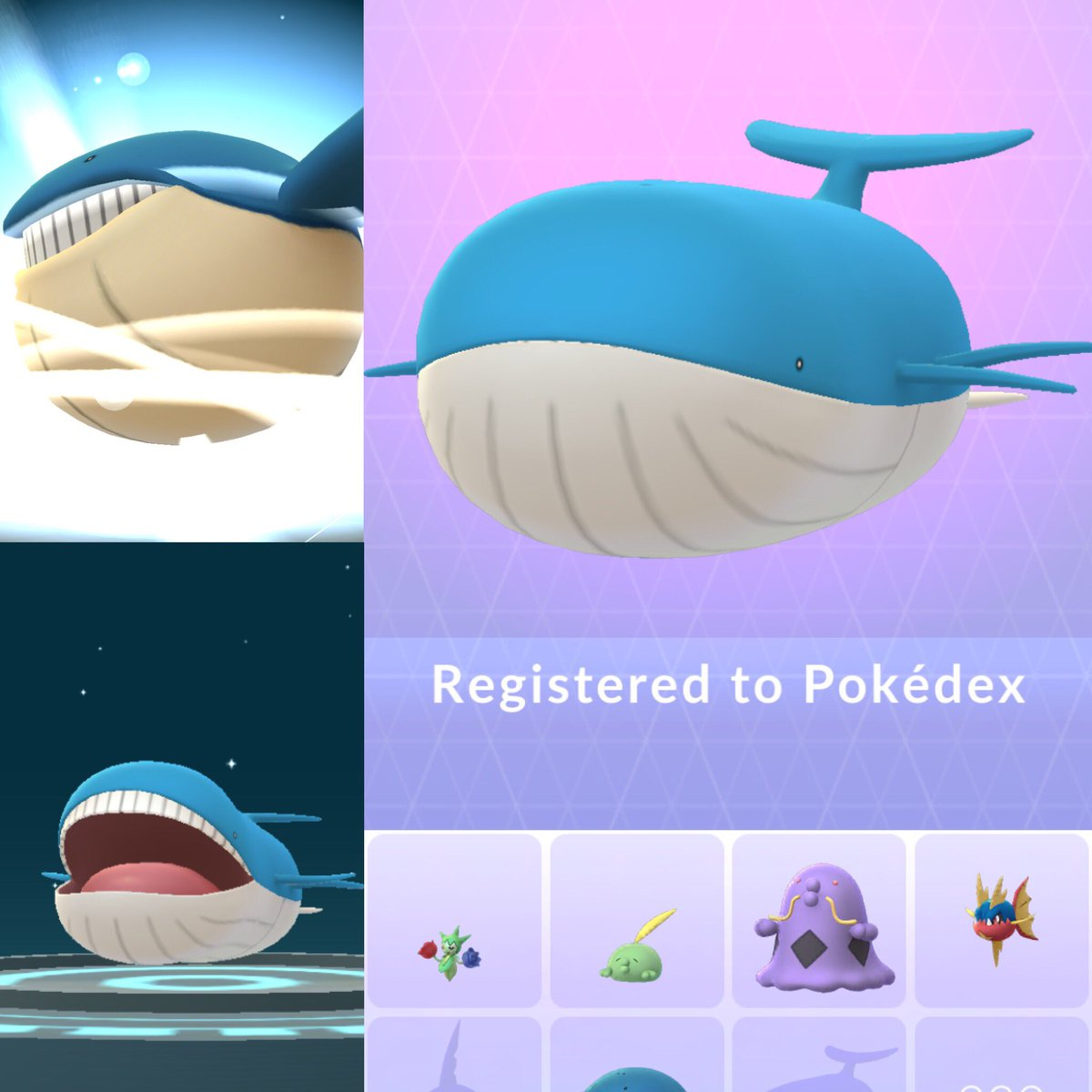 Wailmer Evolution Chart - Pokemon Wailmer Fast Attack Chart