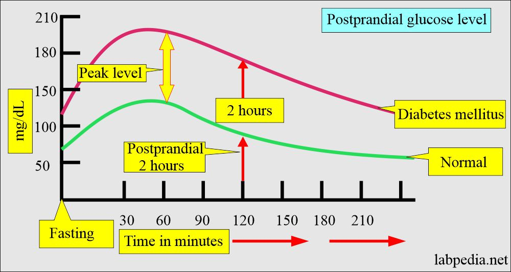 What Is A Normal Range For Fasting Blood Sugar At Nancy Kinsley Blog - 2hr 4hr And Fasting Blood Sugar Chart