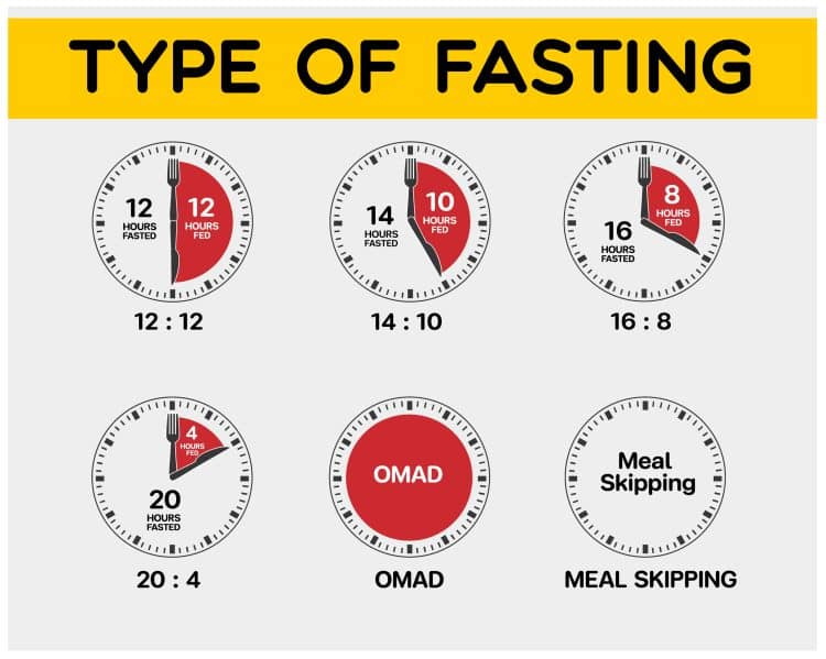 When Does Your Body Start Burning Fat With Intermittent Fasting  - Fat Burning Intermittent Fasting Chart