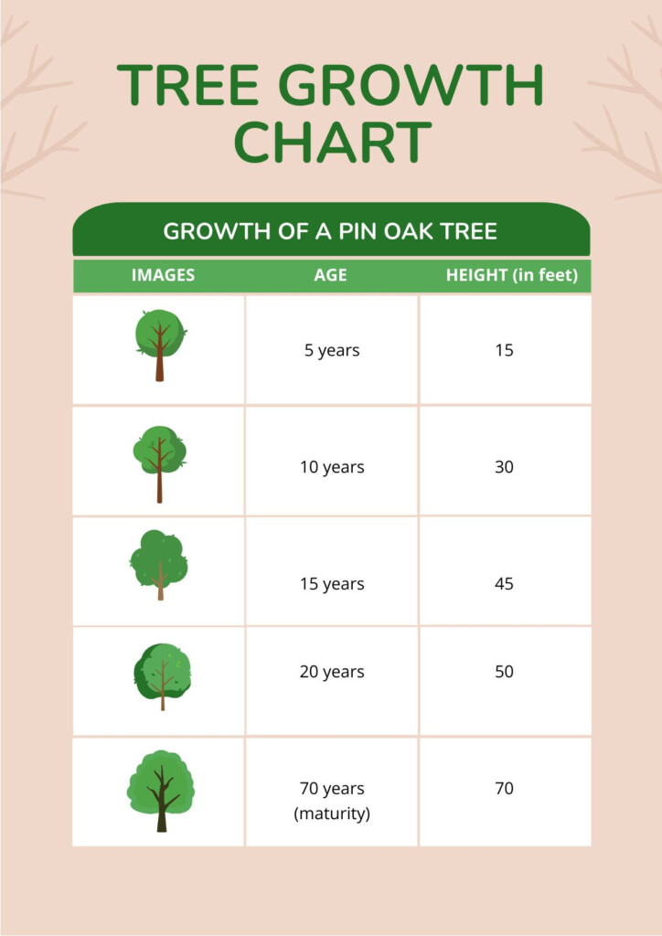 Willow Oak Tree Growth Rate - Chart Fast Growing Trees Growth Rate