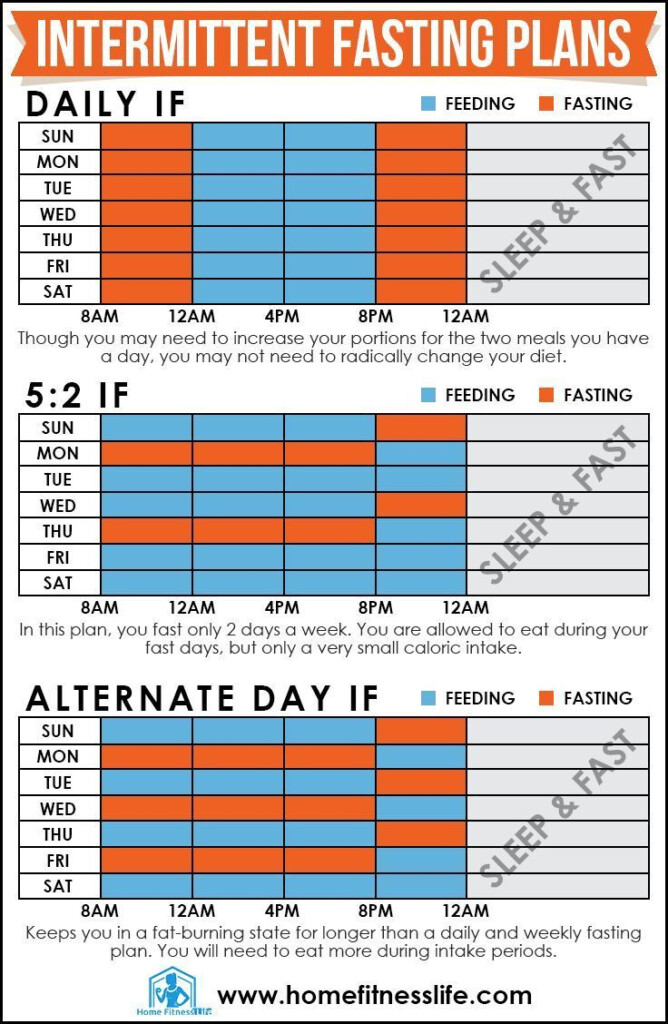Wondering How You Can Get Started With Intermittent Fasting Today  - Intermittent Fasting Burn Chart